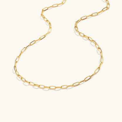[Amore]Amber Gold Chain Necklace